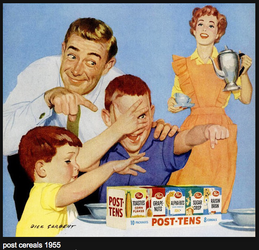 cult of domesticity 1950s